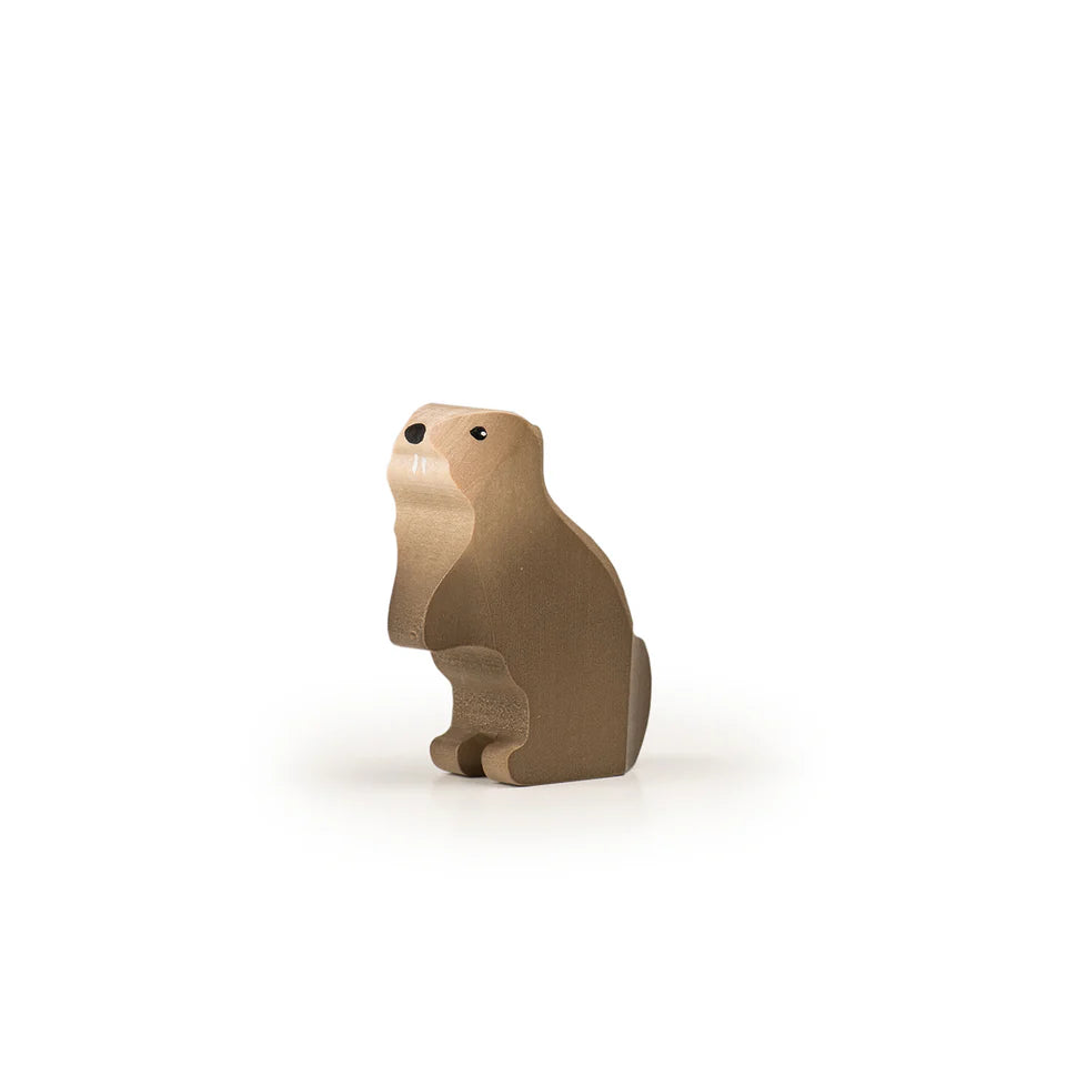 Murmeltier