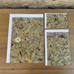 Grusskarten mit Kuvert A5, A6, A7 aus Naturmaterialien von Organoids Design Bergwiese mit Marguerite