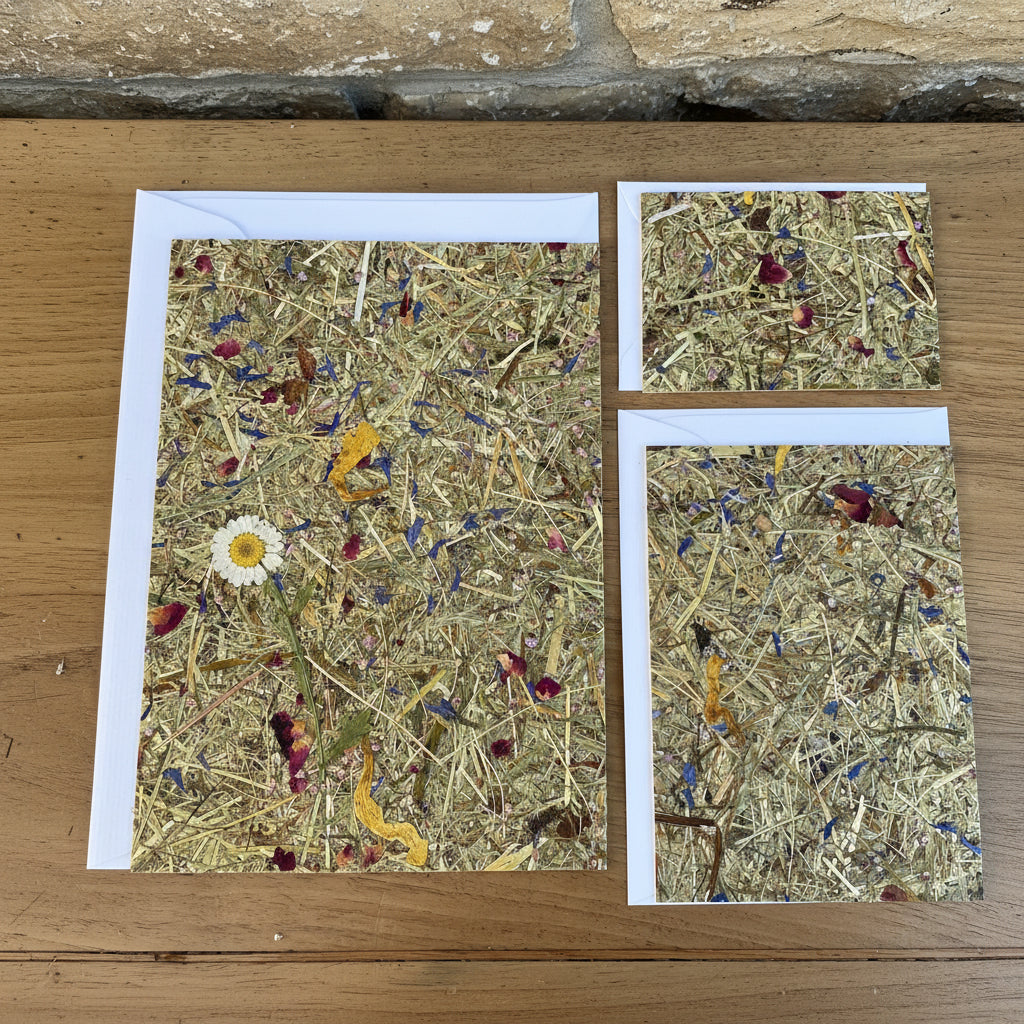 Grusskarten mit Kuvert A5, A6, A7 aus Naturmaterialien von Organoids Design Bergwiese mit Marguerite