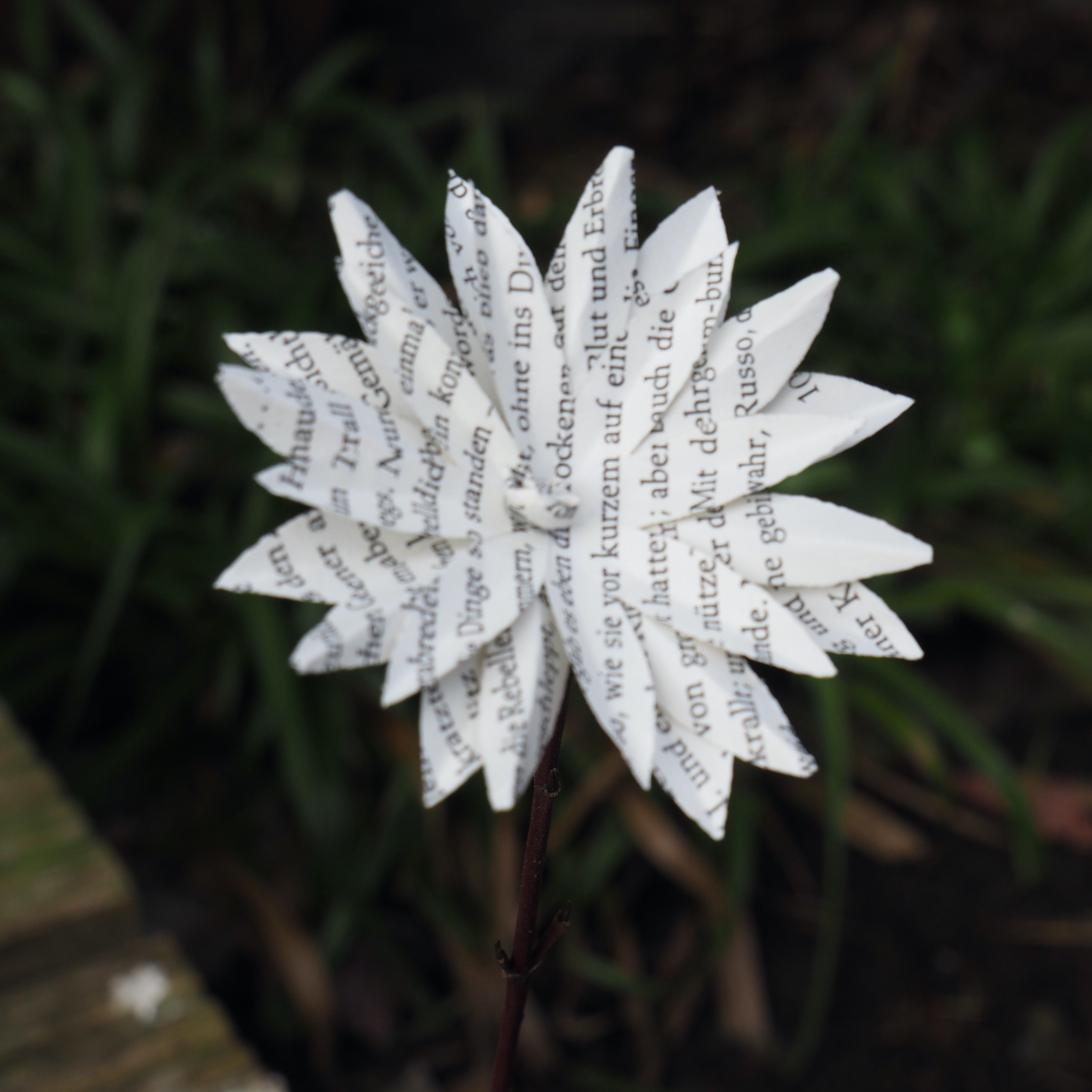 Kurs Origami  und Papierkunst / Workshop