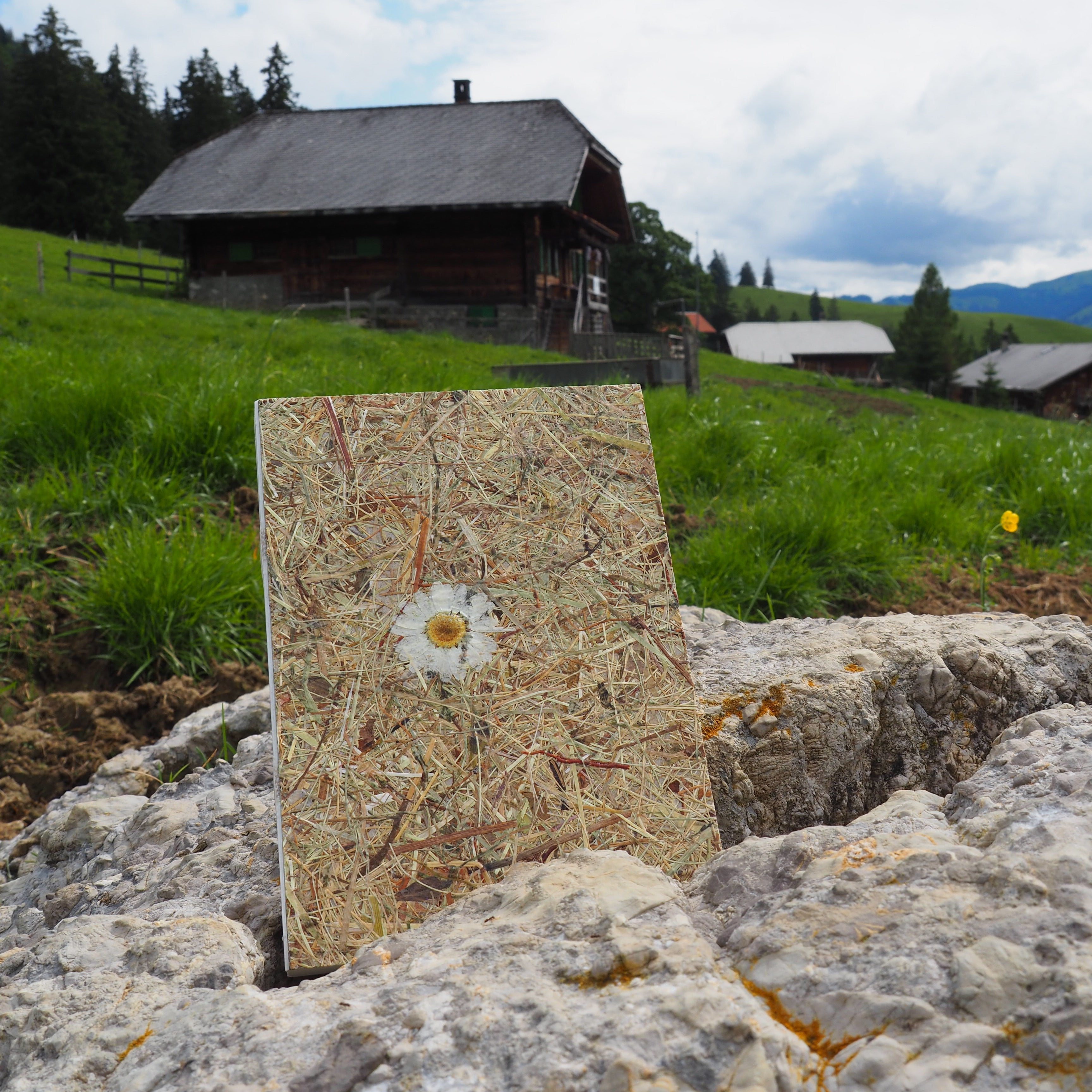 Buchbindekurs auf der Alp Wochenende 2026