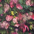 Dschungel&#47;jungle pink A5 Tapete